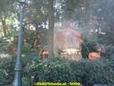 dsc00923.jpg