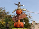 dsc00935.jpg