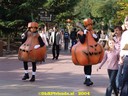dsc00949.jpg