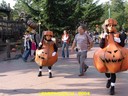dsc00950.jpg