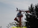 dsc00956.jpg