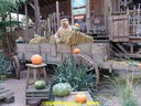 dsc00958.jpg