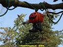 dsc00966.jpg