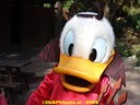 dsc00976.jpg