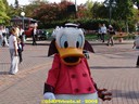 dsc00996.jpg