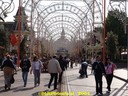 dsc00997.jpg