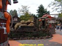 dsc01149.jpg