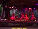 DSC05305.jpg