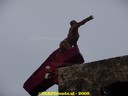 DSC05313.jpg