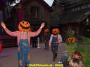DSC05315.jpg