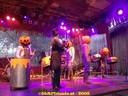 DSC05317.jpg