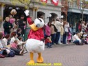 DSC05554.jpg
