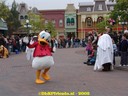 DSC05555.jpg