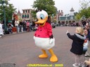 DSC05556.jpg