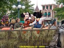 DSC05558.jpg