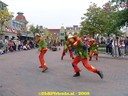 DSC05560.jpg
