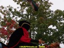 DSC05591.jpg