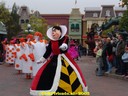 DSC05595.jpg