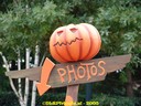 DSC05124.jpg