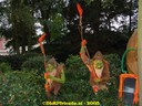 DSC05229.jpg