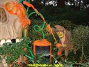 DSC05230.jpg
