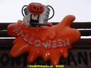 DSC05234.jpg