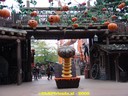 DSC05235.jpg