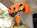 DSC05274.jpg