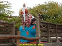 DSC05281.jpg