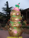 DSC05332.jpg
