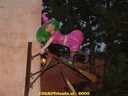 DSC05336.jpg