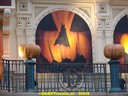 DSC05353.jpg