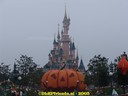 DSC05377.jpg