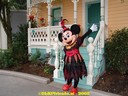 DSC05397.jpg