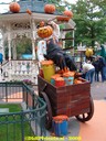 dsc05096.jpg