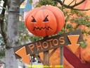 dsc05125.jpg