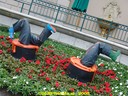 dsc05129.jpg