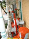 dsc05133.jpg