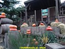 dsc05334.jpg