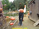 dsc05487.jpg