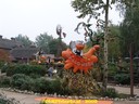 dsc05491.jpg