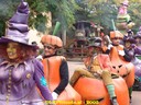 dsc05526.jpg
