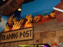 DSC05688.jpg
