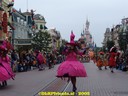 dsc05197.jpg