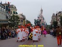 dsc05212.jpg