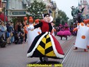 dsc05213.jpg
