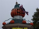 DSC05395.jpg