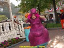 DSC05407.jpg