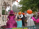 DSC05409.jpg
