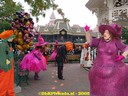 DSC05411.jpg